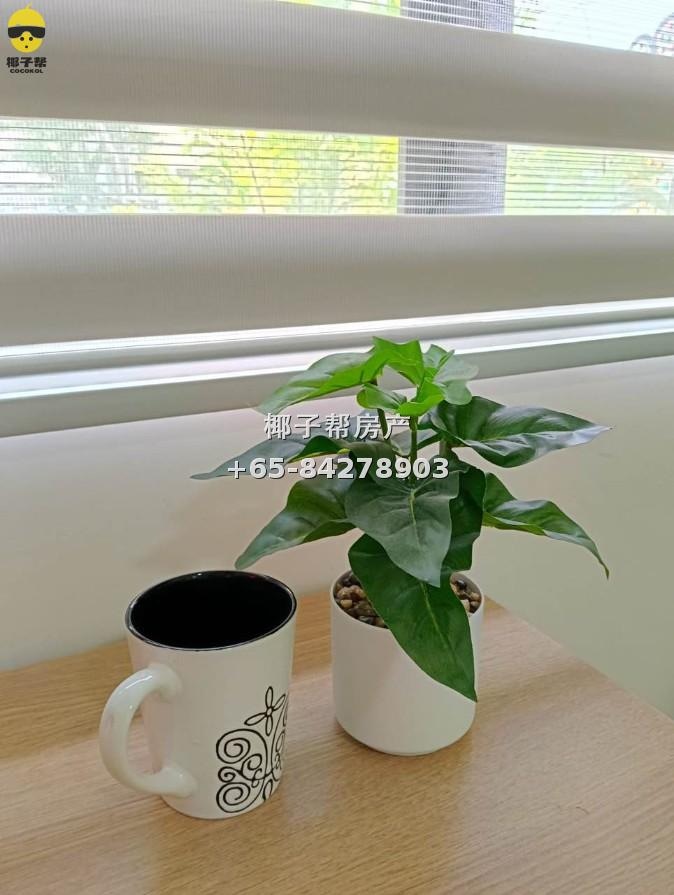 【For Rent】Tanjong Katong Shophouse Residence | Extra-Large Air-Conditioned Common Room for 2, Near Two MRT Stations 3