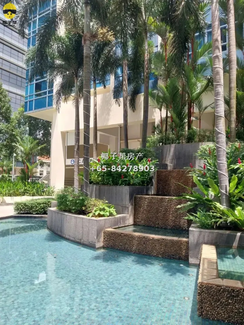 Common room in apartment next to Farrer Park MRT, 5-minute w 4