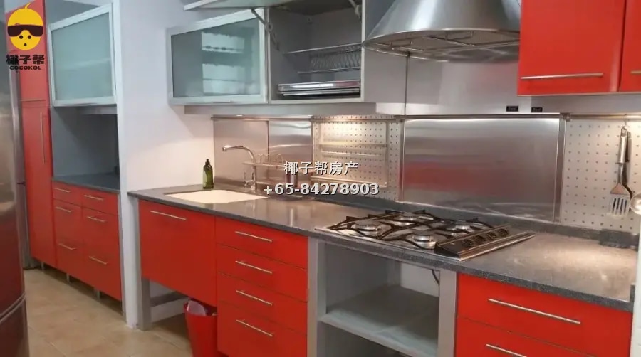 High-floor corner HDB flat next to Tongkang LRT Station in S 4