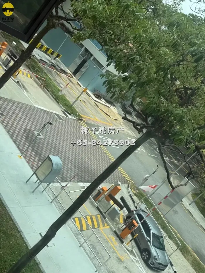 Queenstown HDB shared room, near MRT, utilities included, li 2