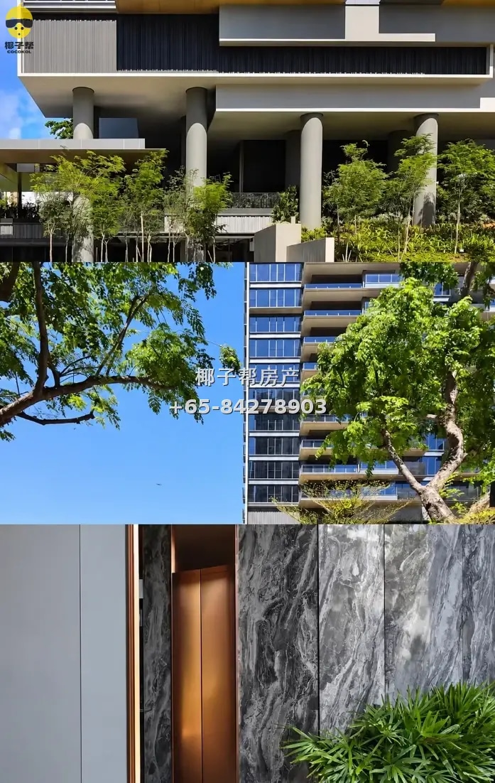 Entire high-floor apartment near Redhill MRT Station, fully 2