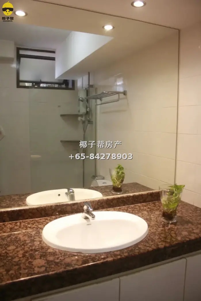 Master bedroom next to Kallang MRT Station, private bathroom 2