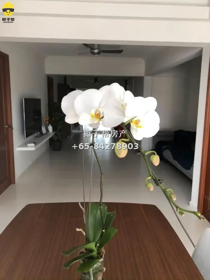 HDB common room near Outram Park MRT. Females only, utilitie 3