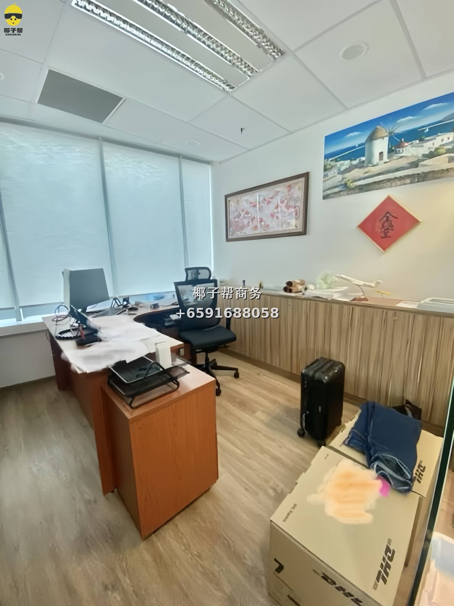 🏢【CBD边缘黄金地段】Havelock II 精装办公室出租💼 5