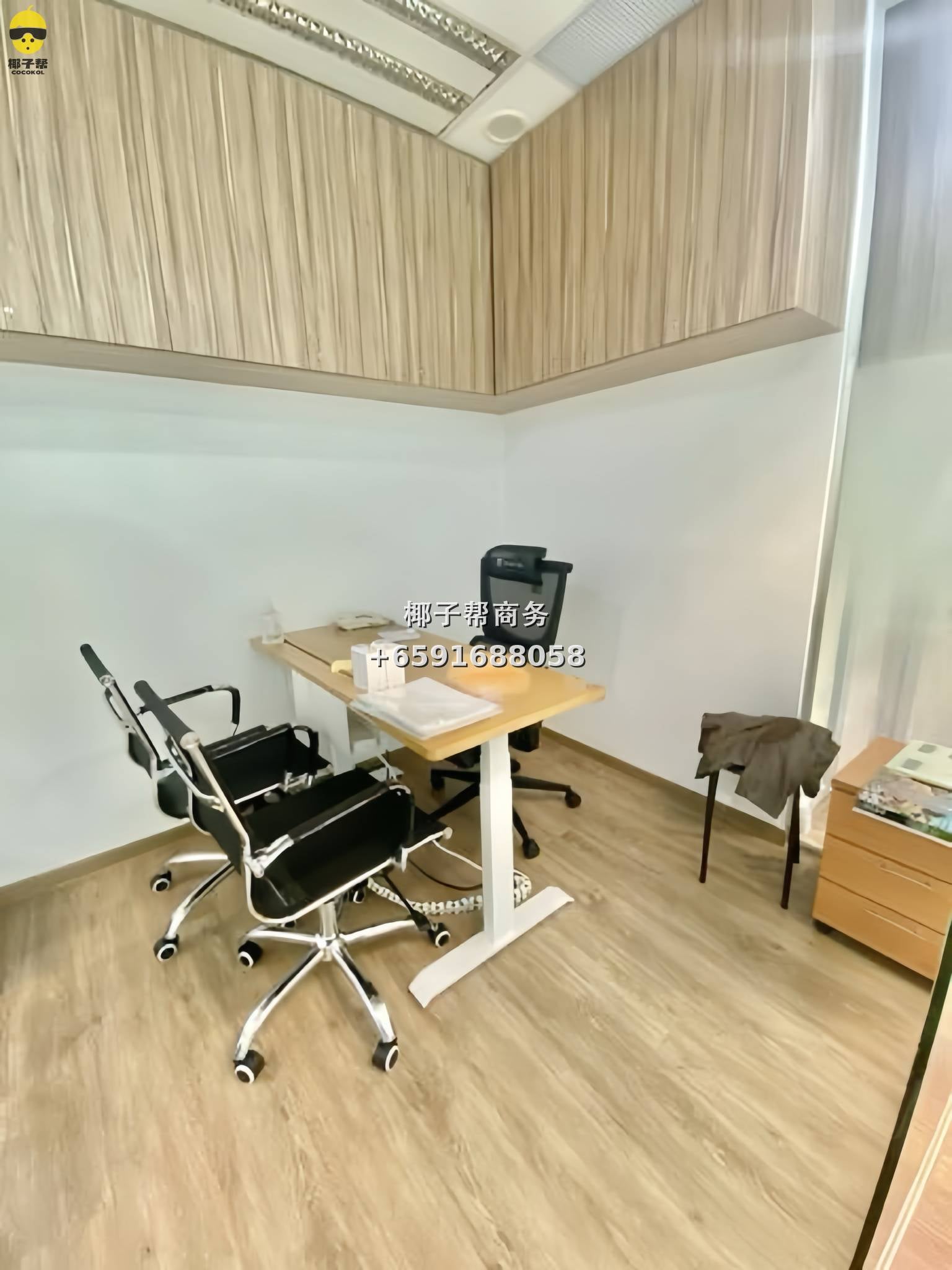 🏢【CBD边缘黄金地段】Havelock II 精装办公室出租💼 4