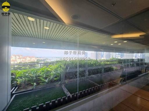 🏢 The Concourse 办公室出租 6