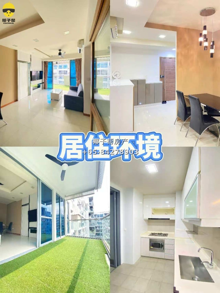 【新加坡温馨寄宿家庭】义顺MRT和XCL附近 1
