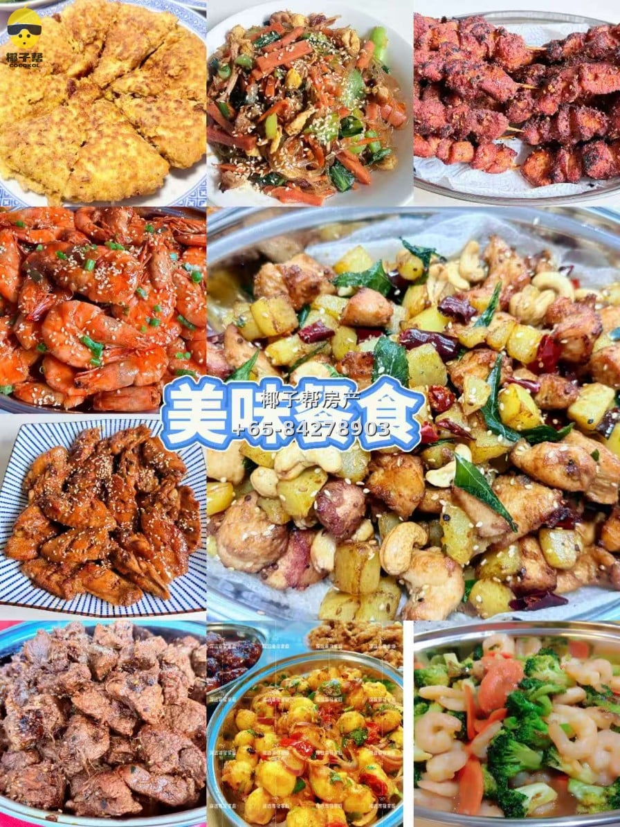 【新加坡温馨寄宿家庭】义顺MRT和XCL附近 4