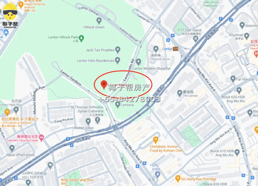 【购房】Lentor Mansion悦府伦庭可接受预定 3