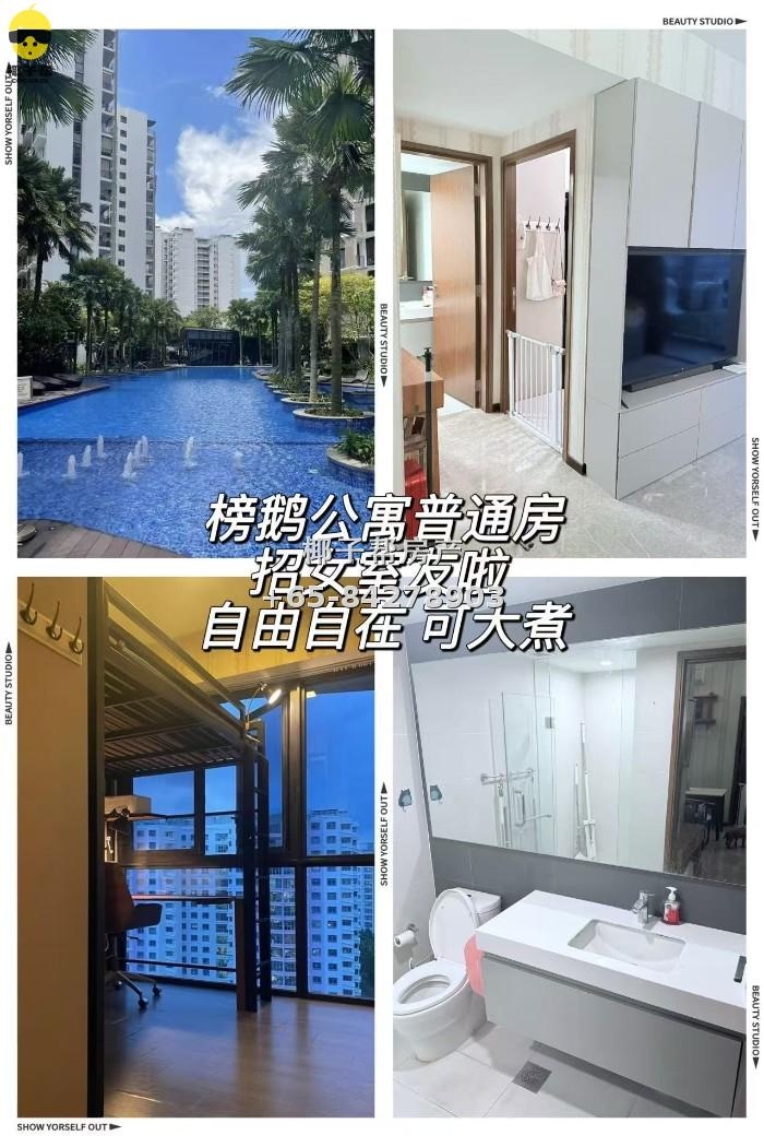 🇸🇬榜鹅公寓普通房招女室友啦