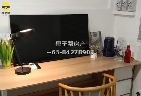 【出租】加东Katong店屋|全屋最大普通房 11月起租 3