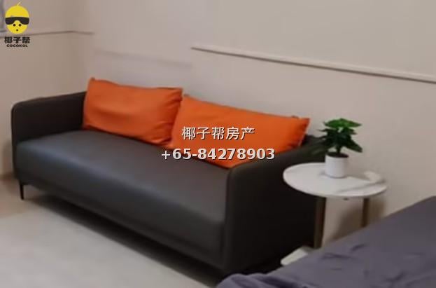 【出租】加东Katong店屋|全屋最大普通房 11月起租 2