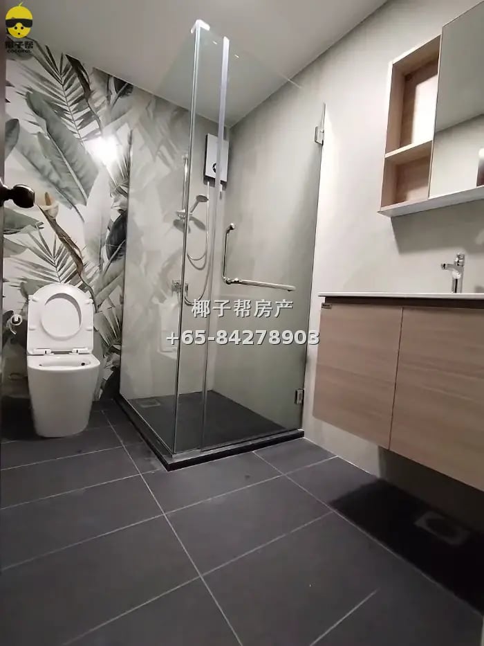 Newly renovated large room next to Chinatown MRT, furnished, 2