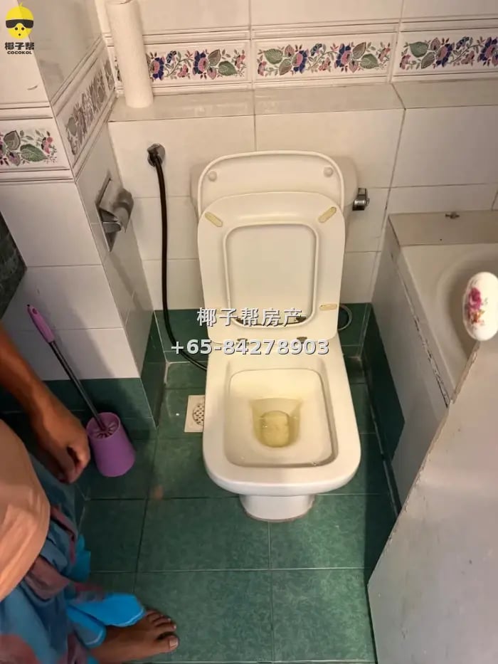 61 芽笼峇鲁 店屋 两个房间 $3000 两年合约 中介 1