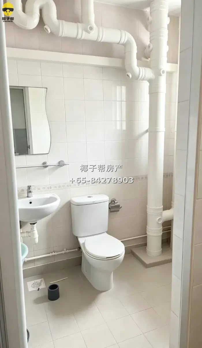 先驱 普通房 5